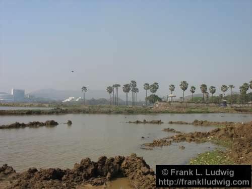 Powai Lake, Maharashtra, Bombay, Mumbai, India